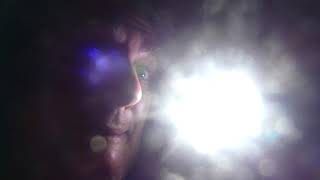 Camping With An English Bull Terrier