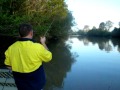 logan river bull sharks 7