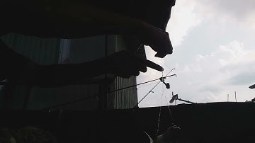 mưa đầu mùa câu cá ở chợ nổi cái răng