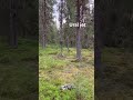 Суровый Урал! Всегда хочется туда вернуться!