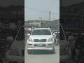 Toyota Land Cruiser prado tx tz corolla altis grande xli gli Suzuki alto wagonr