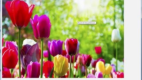 15. Simple Controls - SAPUI5