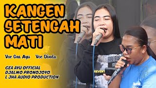 Download Lagu GEA AYU TERBARU Kangen Setengah Mati Cover Jandut Djalmo Pronojoyo 2025 MP3 Download Lagu GEA AYU TERBARU Kangen Setengah Mati Cover Jandut Djalmo Pronojoyo 2025 MP3