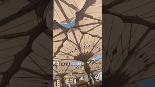 Masjad-E-Nabvi I Madinah I Saudia Arabia Series