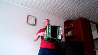 ДДТ Метель кавер на гармони