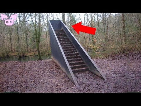 Stairs in the Woods Phenomenon Is Freaking People Out