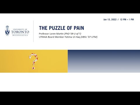 The Puzzle of Pain