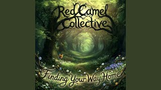 Finding Your Way Home