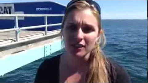 On The Spot #25 - Shannon Corrigan of Grice Marine...