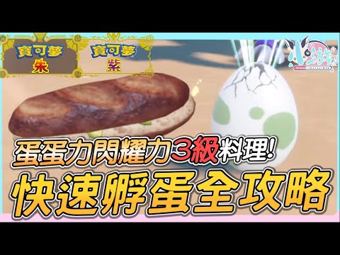 3級蛋蛋力+閃耀力料理食譜！野餐孵蛋系統全攻略！｜異國寶可夢｜閃耀護符｜火焰之軀｜百變怪｜朱紫攻略《寶可夢朱/紫》【小游】