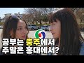 [4K] 충주가 한국의 전부인 줄 알았다던 이집트 미녀ㅣChungiu