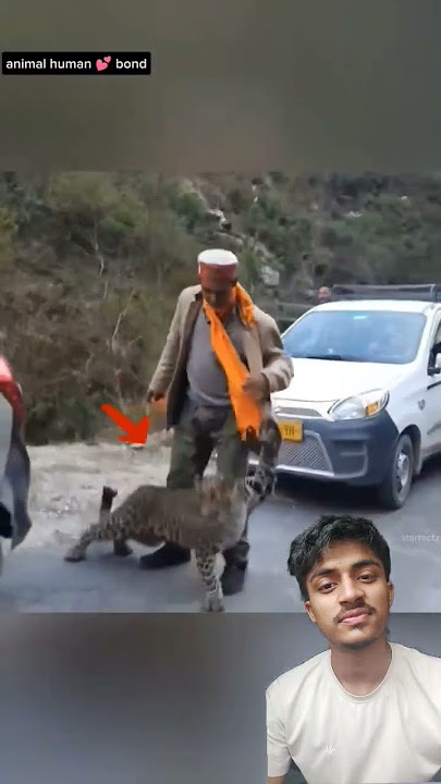 https://youtube.com/shorts/uNqfdz2hglw?si=yWYX-ltqHutDl075 #leopard #latestnews #wildlife