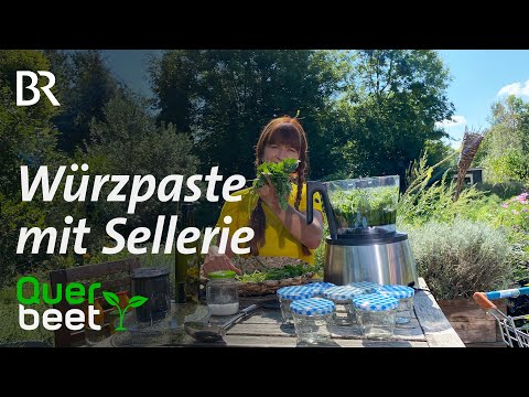 Video: Sellerieblatt-Kräuter - Tipps für den Anbau und das Schneiden von Blattsellerie