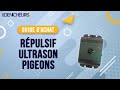  meilleur rpulsif ultrason  pigeon  comparatif  guide dachat