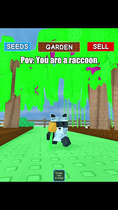 You are a raccoon in Grow a garden #roblox #growagarden