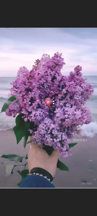 #серень - YouTube
