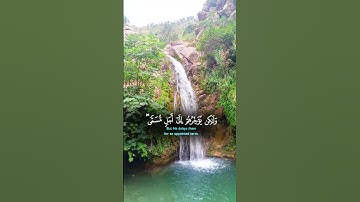 تلاوة خاشعة ومؤثرة لفضيلة الشيخ القارئ صلاح بو خاطر #اكسبلور #المصحف #الرحمن #لايك