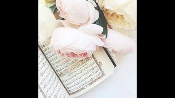قرآن كريم السديس  أجمل حالات واتس اب دينيه  تلاوة خاشعة 🖤
