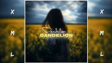 Dandelion - Ruth B 🎶 💗 [ English song ] presetalightmotion || #xmlfile📁 link in comment section🥰