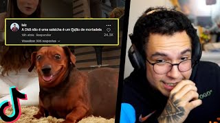 O CACHORRO OBESO DO TIKTOK - YETZ REACT MELHORES TIKTOKS