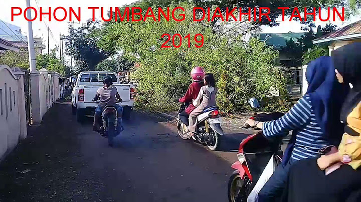 ADA APA DIDESA TARASU KECAMATAN KAJUARA, BONE SULAWESI SELATAN