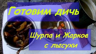 Полевая кухня | Дичь  | Шурпа и Жаркое с лысухи(Полевая кухня, Готовим дичь. Получилось два блюда. Шулюм и жаркое, с трофея лысухи. Всё очень вкусно и полезн..., 2016-08-30T18:02:13.000Z)