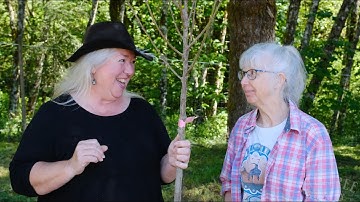 First Year Peach Pruning - the Right Way!
