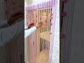 Factory Straight HairagoThis rose-tassel lace curtain is #shorts
