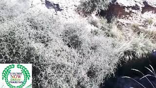 Beautiful Dera Bugti View