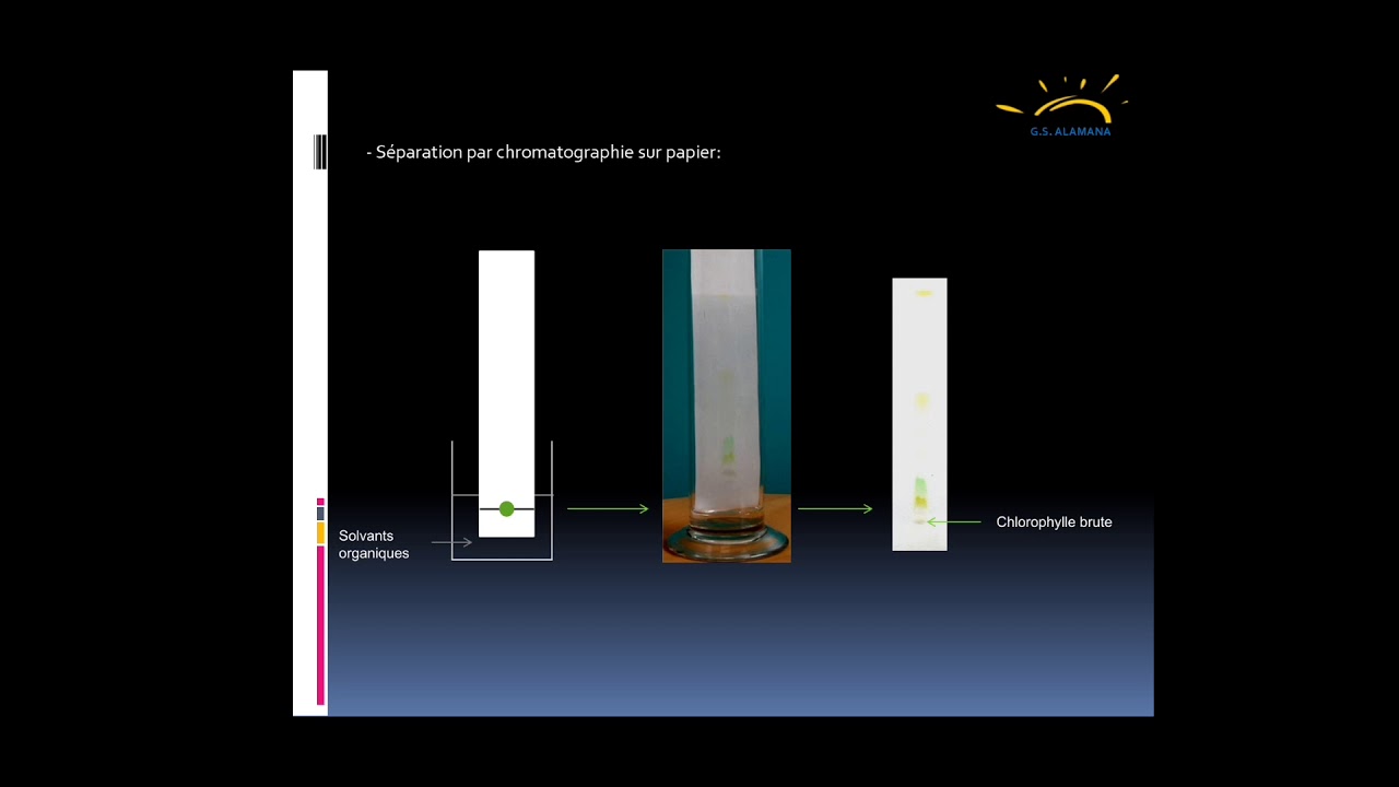 conversion de l'energie lumineuse en energie chimique chez les vegetaux chlorofilliens