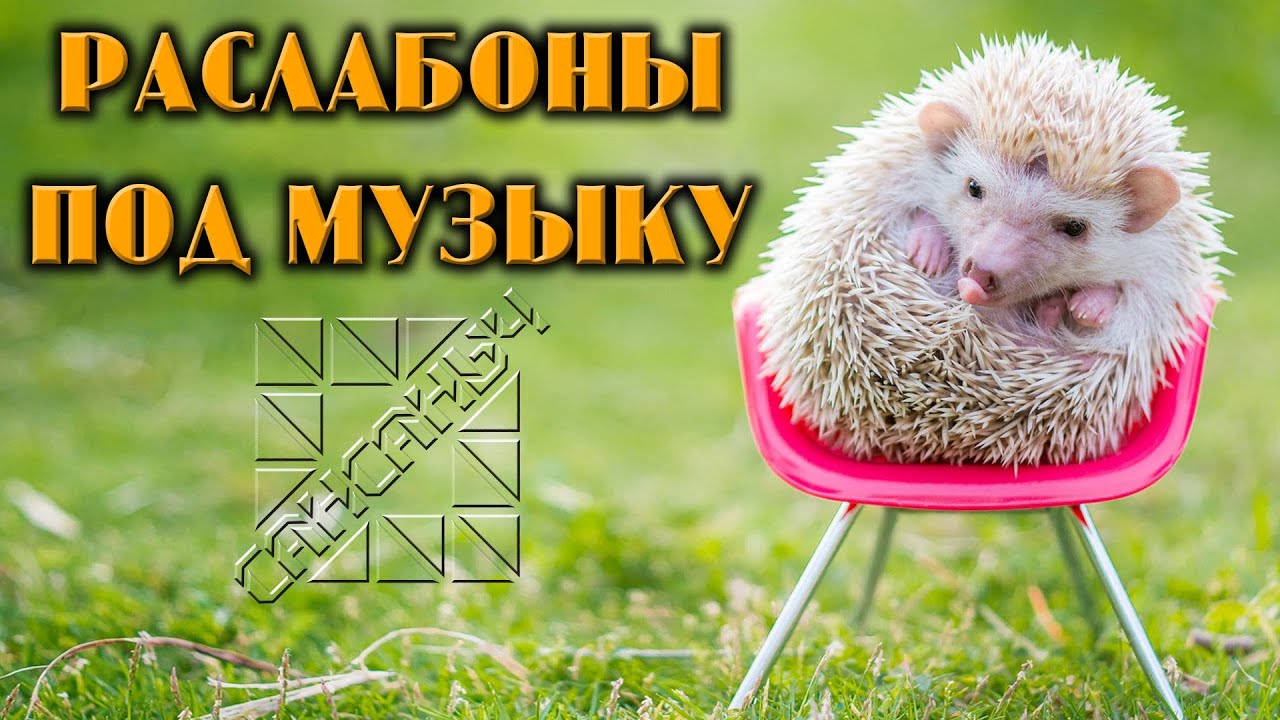 Авто дропсы твич