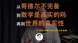 哥德尔不完备视角下的自然数为什么如此特殊？这个问题隐藏着数学和世界真实性的线索 by 王木头学科学 4,839 views 8 months ago 38 minutes