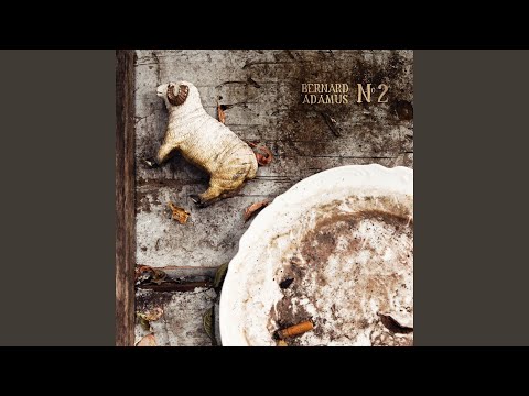 Bernard Adamus — Arrange-toi avec ça