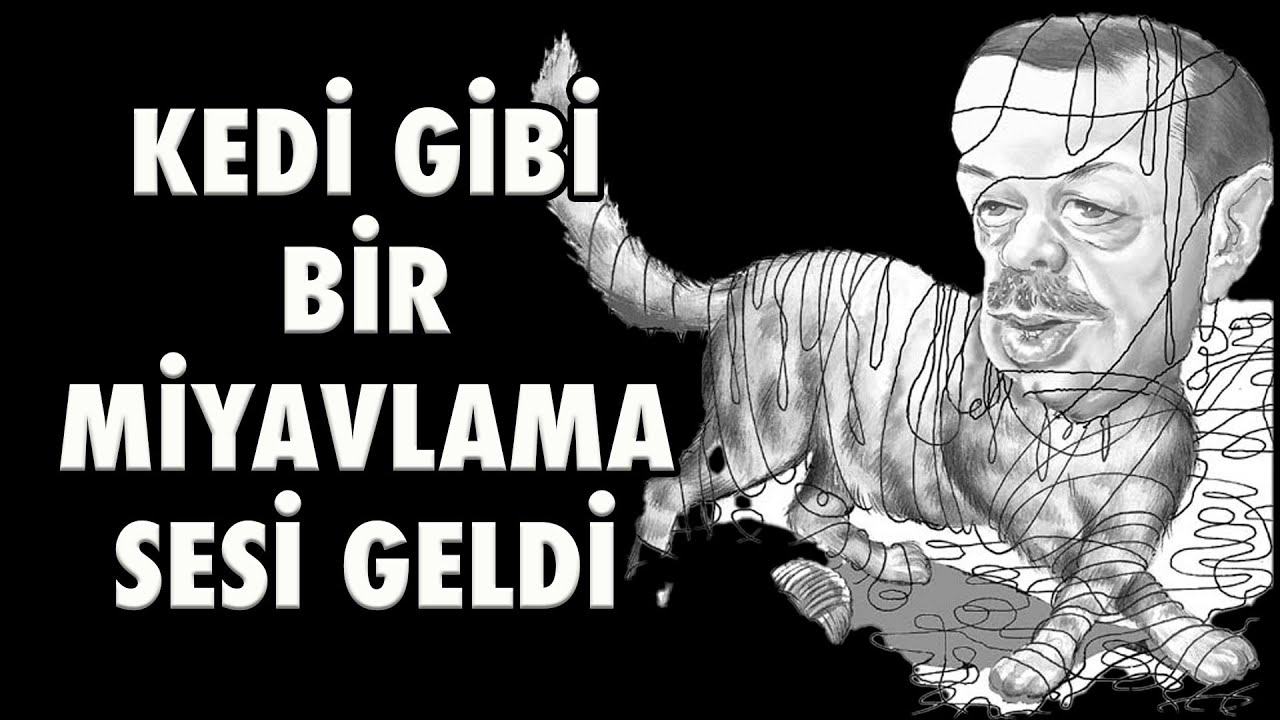 Bırakın aslanı kedi gibi bir miyavlama sesi geldi Kemal Kılıçdaroğlu