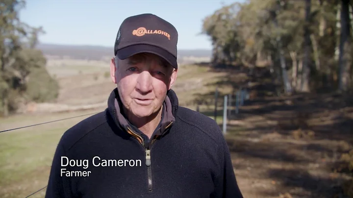 Doug Camerons Gallagher Westonfence Success Preview