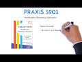 PRAXIS 5903 PRAXIS 5903
