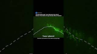 Scientists Turn Bacteria Into Micro Robots That Can Deliver Drugs Inside the Body #robot #medical