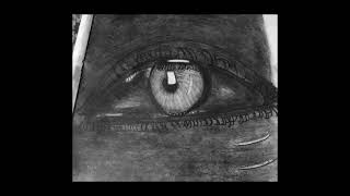 Most Hyper Realistic Eye Drawingmade By My Brother