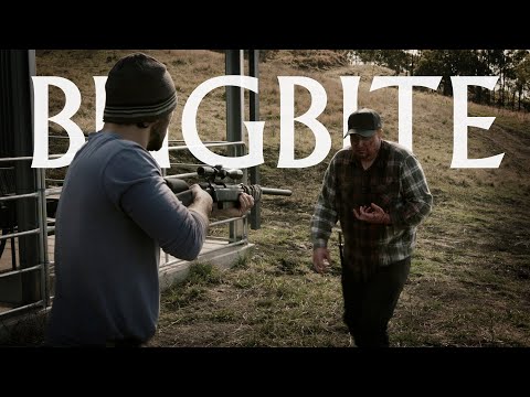 Bug Bite | Short Film