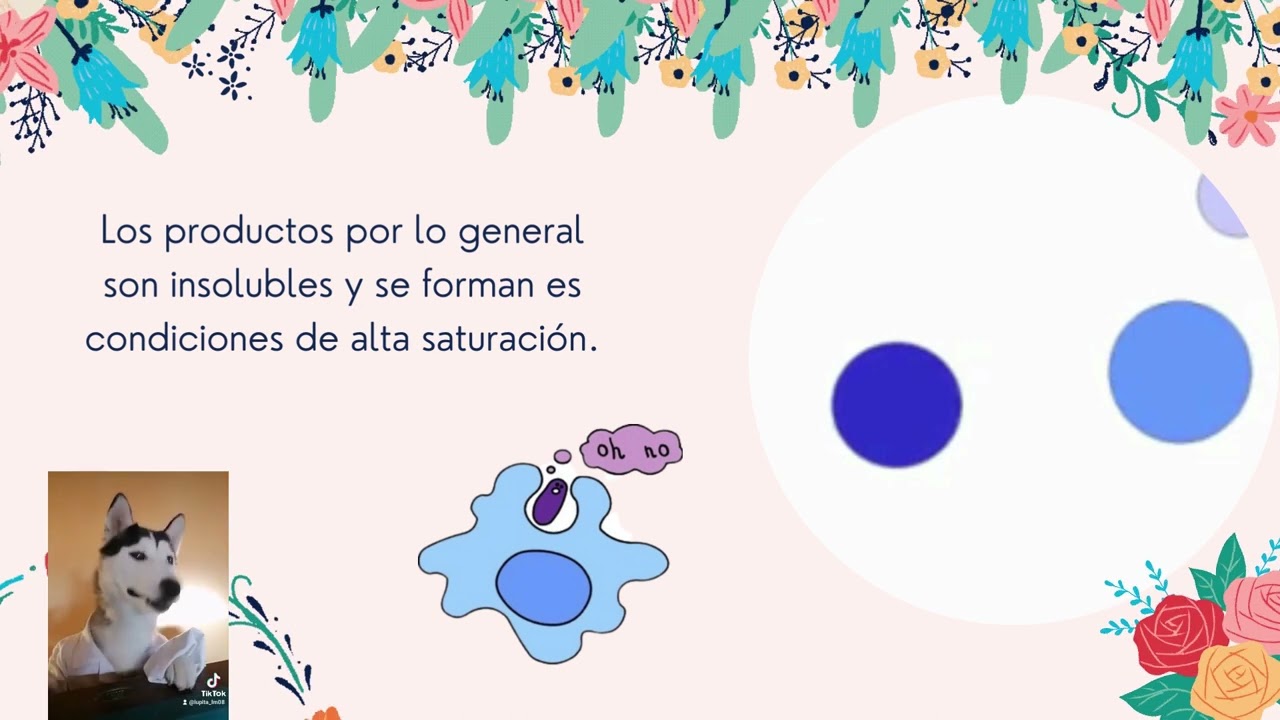 SINTESIS DE MAGNETITA POR COPRECIPITACIÓN
