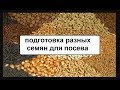 Подготовка разных семян к посеву