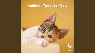 Silken Catnap Symphony