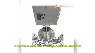 Customizable Precision Multi Point RTD