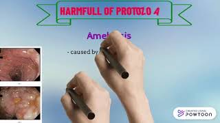 MICOST: Microorganism On Skin : Protozoa