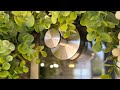 No Drill Needed?! These Suction Hooks Actually STAY 😳 | Fenas Hook Test on Glass Door