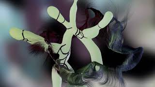 Nonpareils - Invisible Jets (Official Visual)