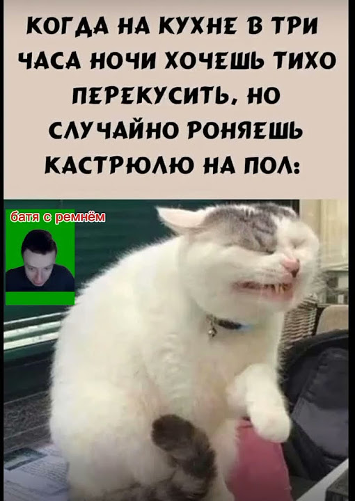 мемы часа #meme #мем #мемы #рекомендации #memes #юмор #ржакадослёз # ...