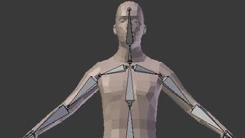 HOW TO RIG BONES ON PRISMA 3D @pawatoonstanzania6922