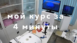 Курс лапароскопии за 4 минуты // Laparoscopic course by Zhaugashev