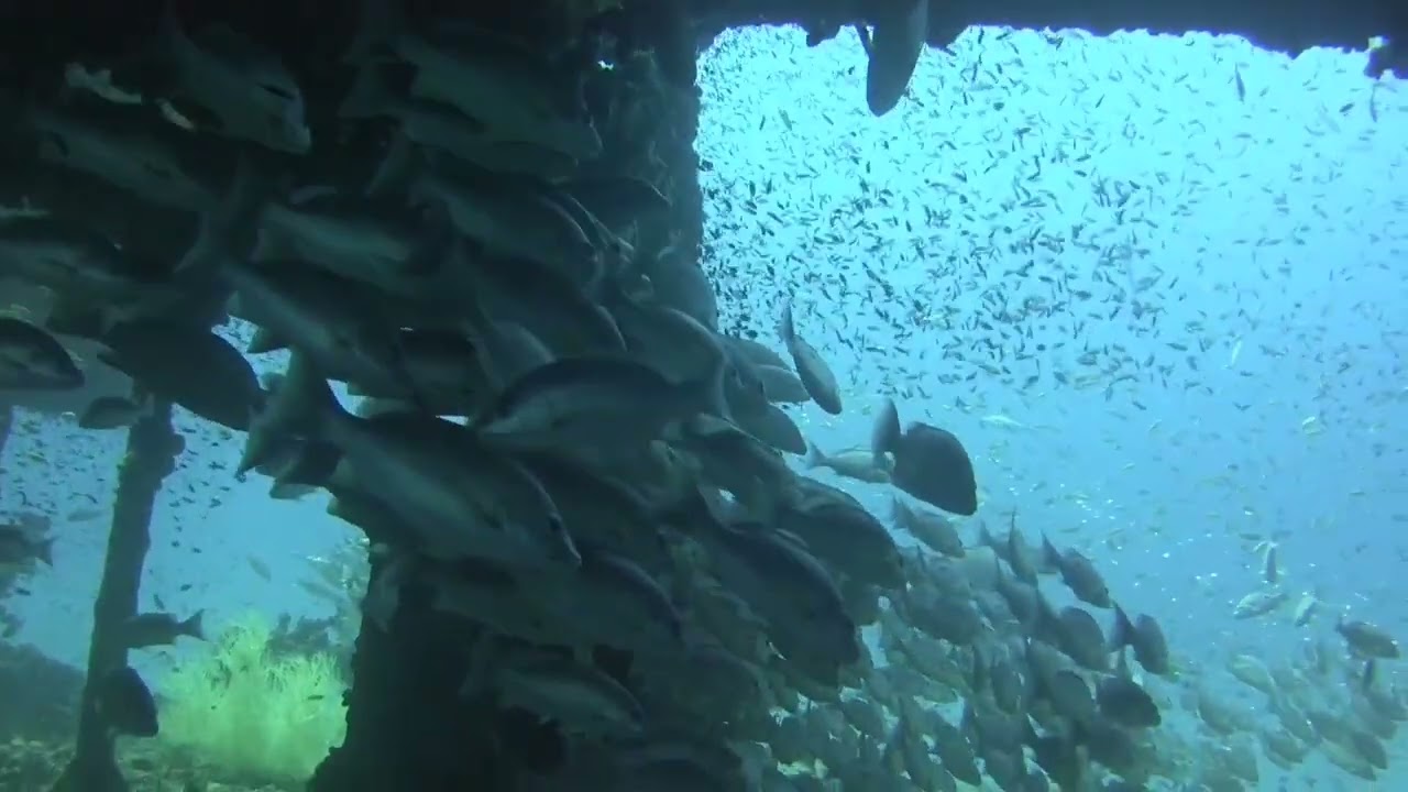 The HTMS Chang wreck on the sea bed off Koh Chang